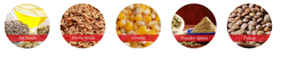 Bombay Foodstuff Trading
