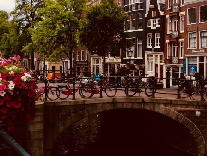 Fun, Films & Flowers in Amsterdam