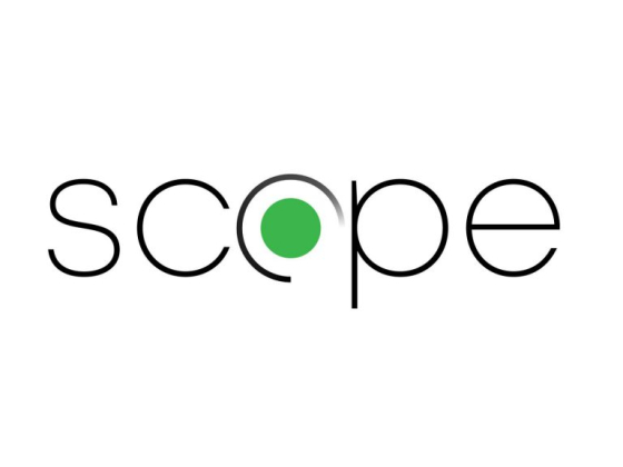 Scope Management Consultancy