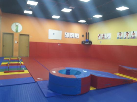 The Little Gym