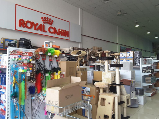 The Pet Shop