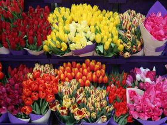 Flowerhub Trading