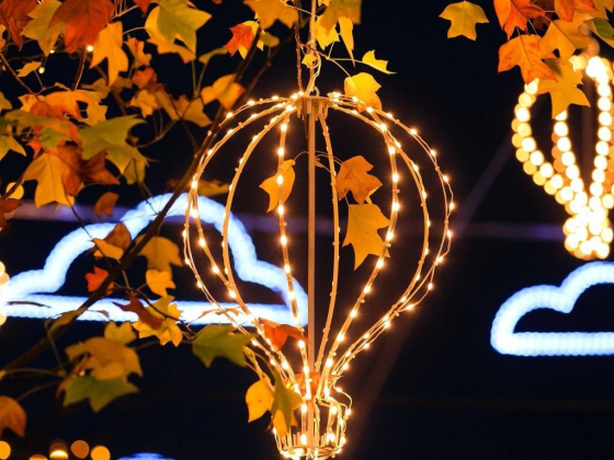 Blachere Illumination
