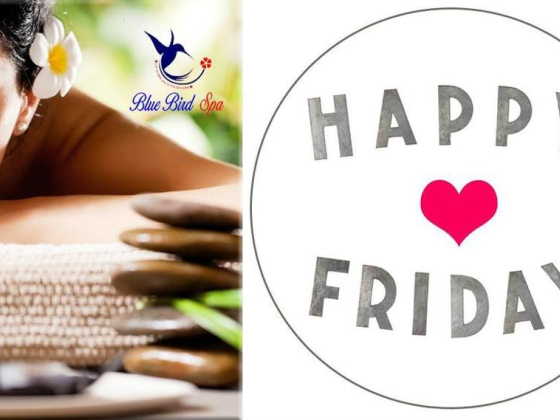 Blue Bird Spa