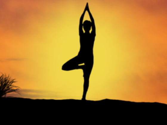 Soulmates Yoga Center