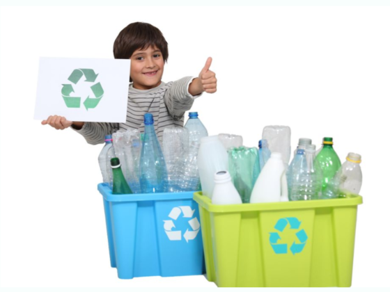 Concept Zone Recycling