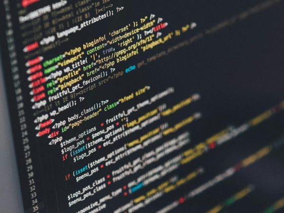 Dyrani Software Services