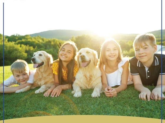 Amity Veterinary Clinic