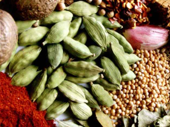 Shabestan Foodstuff Trading