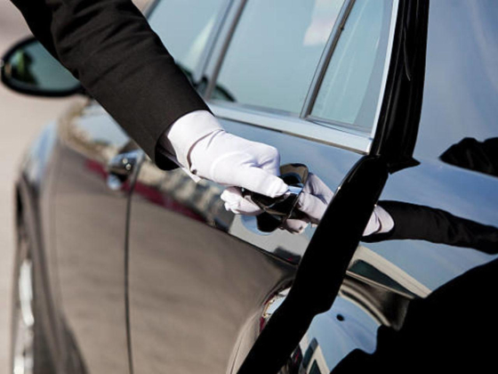 P S L Passenger Transport By Luxury Motor Vehicles