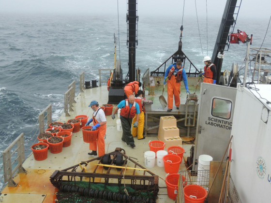 Allianz Marine Services