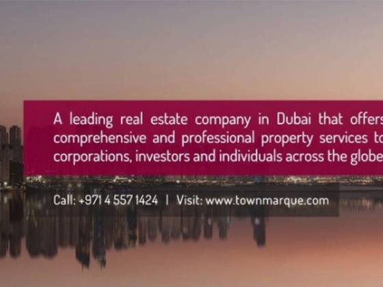 Town Marque Real Estate
