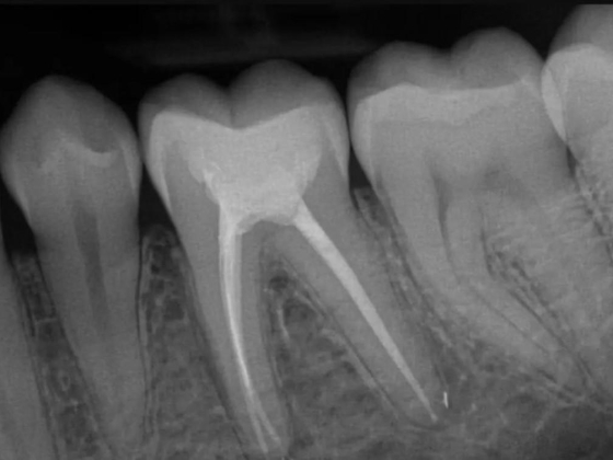 Marble Dental Clinic