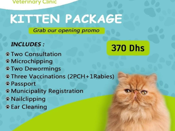 Companion Veterinary Clinic
