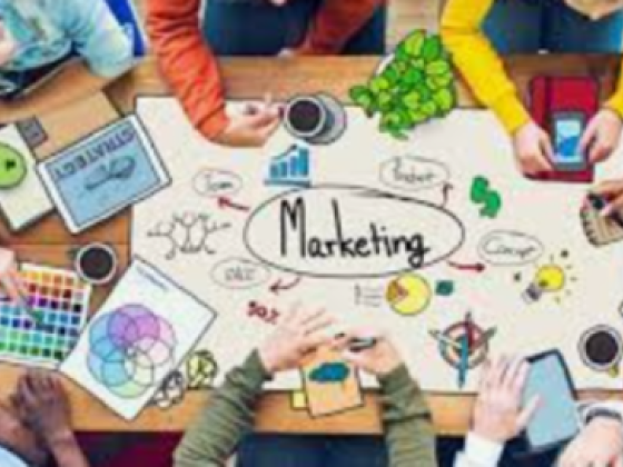 Kbm Marketing Management