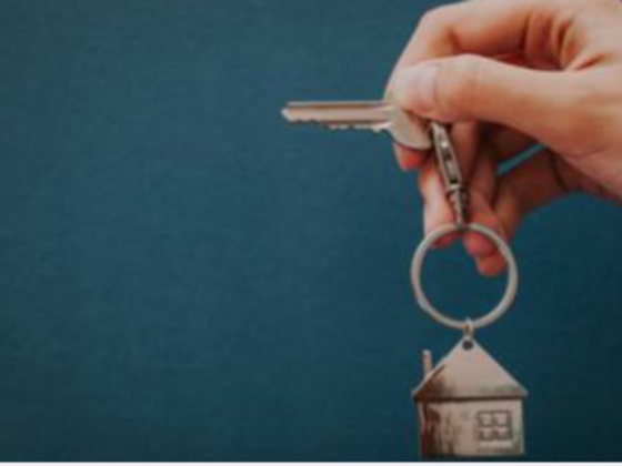 Al Yousuf Real Estate