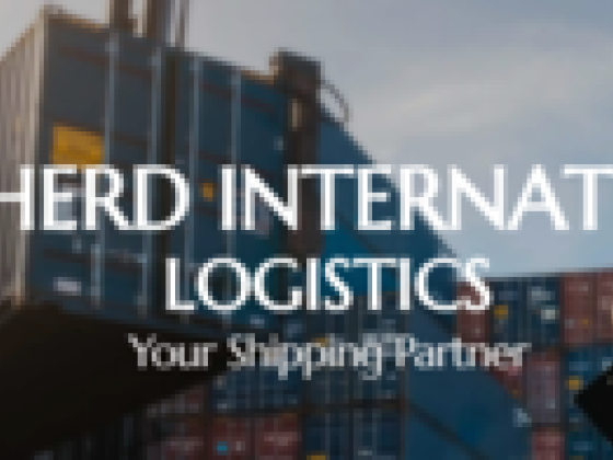 Shepherd International Llc