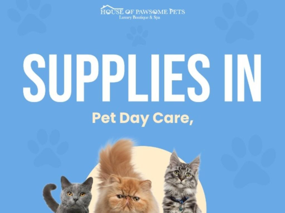 House Of Pawsome Pets