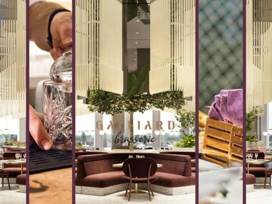 The Galliard