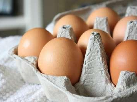 Beida & Sous Poultry Trading