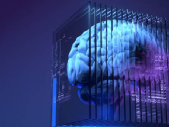 Bizlane Information Technology