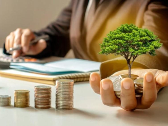 Fronds Investments