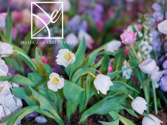Haifa AlMarri Events