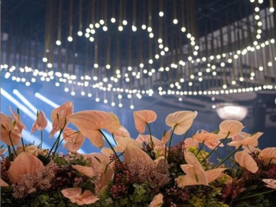 Haifa AlMarri Events