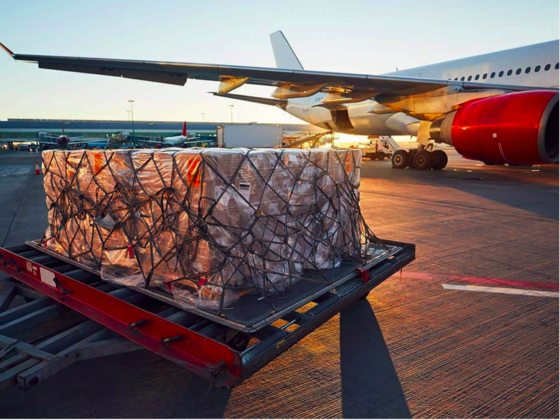 Sparkle Wave Freight Brokers