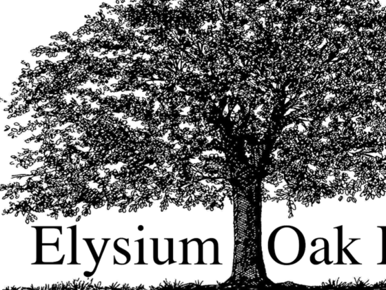 Elysium Building Contracting