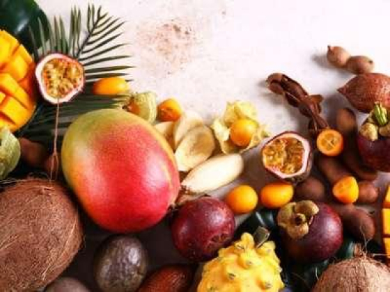 Garden Fresh Fruits & Vegetables Trading