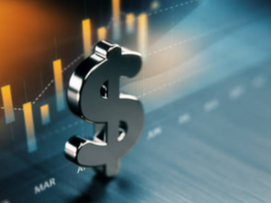 Ibrotl Investment