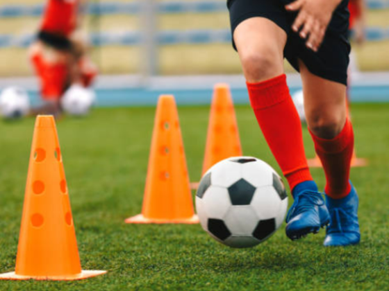 Yin Young Sports Services