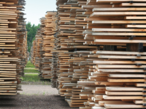 Chabros Timber Trading