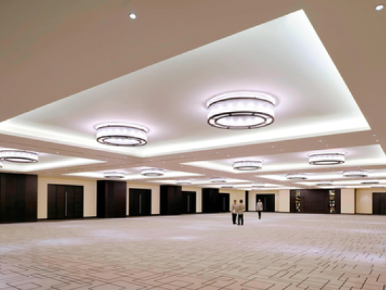 Salon Meeting Room