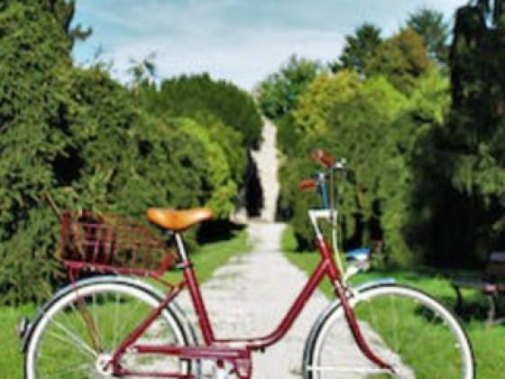 Al Taraf Bicycles Trading