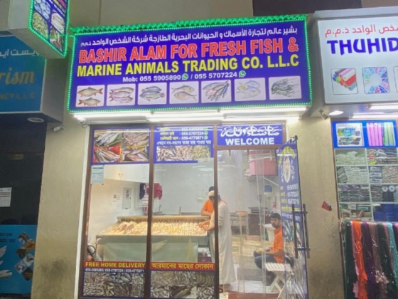 Bashir Alam For Fresh Fish & Marine Animals Trading