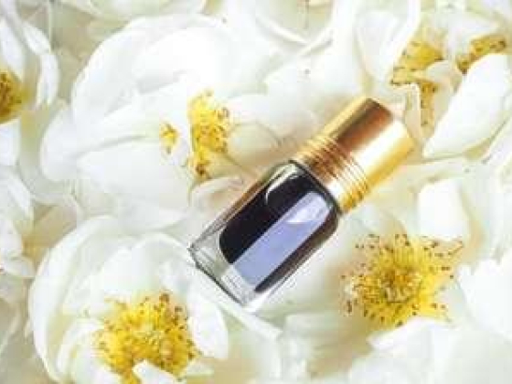 Nader Al Oudh General Trading