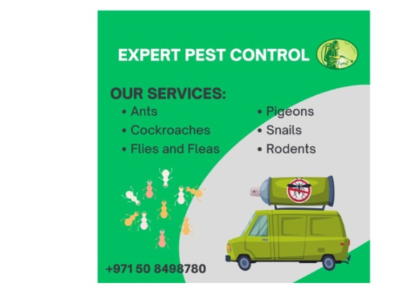 Expert Pest Control & Cleaning Services
