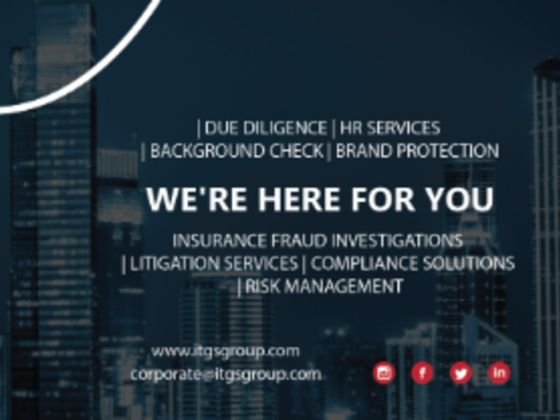 I T G Documents & Data Verification Services