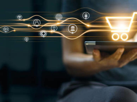 Almizan Alfedhi Payment Services Provider