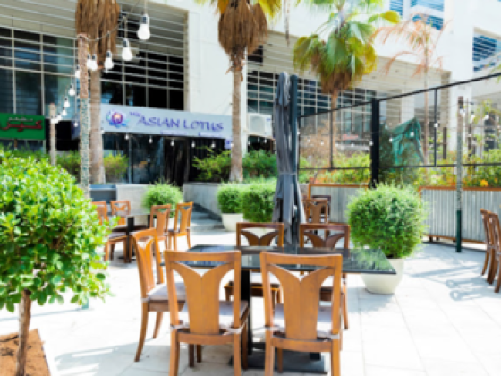 Asian Lotus Restaurant