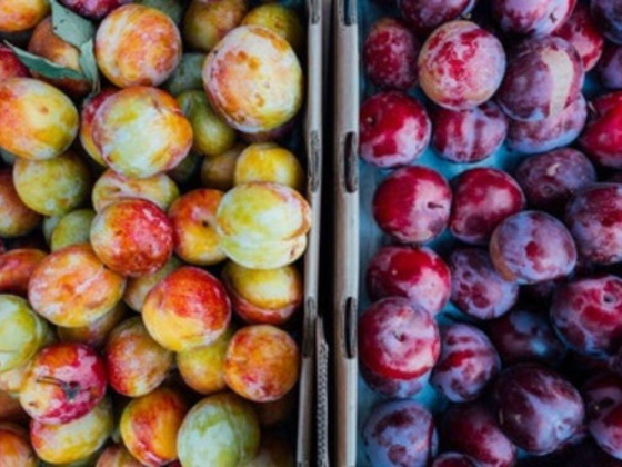 Top Green Vegetables & Fruits Trading
