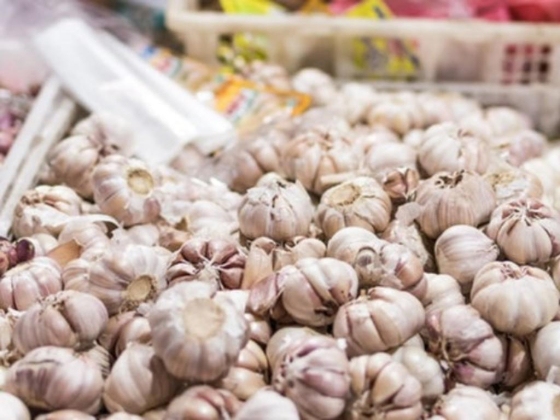 Top Green Vegetables & Fruits Trading