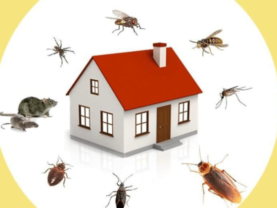 Super Hygiene Pest Control & Building Cleaning Services