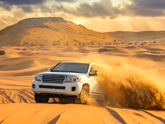 Aladdin Adventure Travel & Tourism