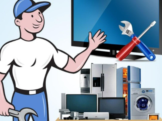 Borassus Electronics