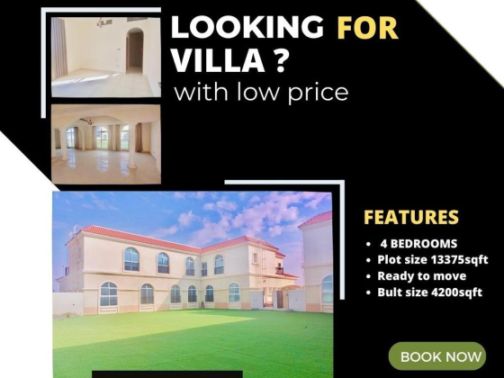 Al Afreen Real Estate