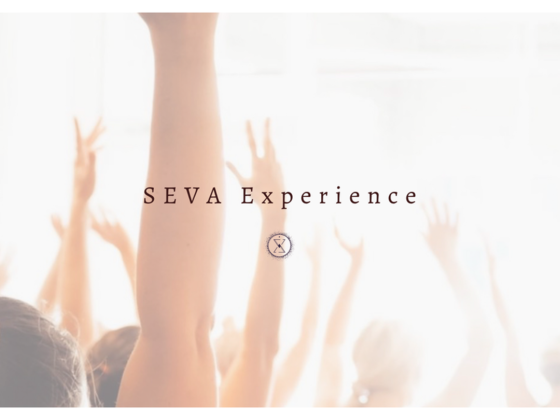 Seva Experience