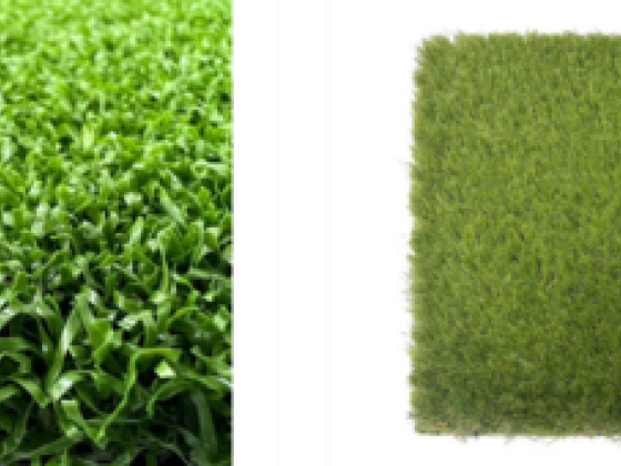 Ecograss Artificial Grass Specialist